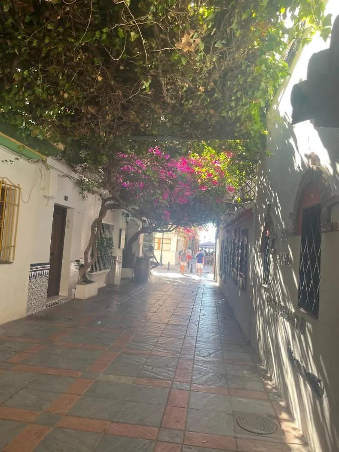 Carolina Suite Fuengirola Apartment